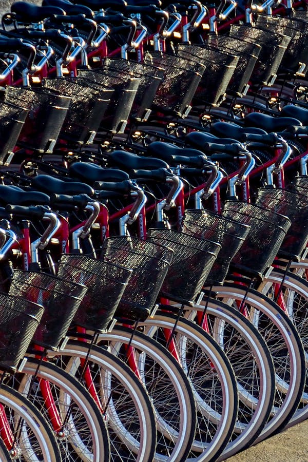 pexels-photo-3632581