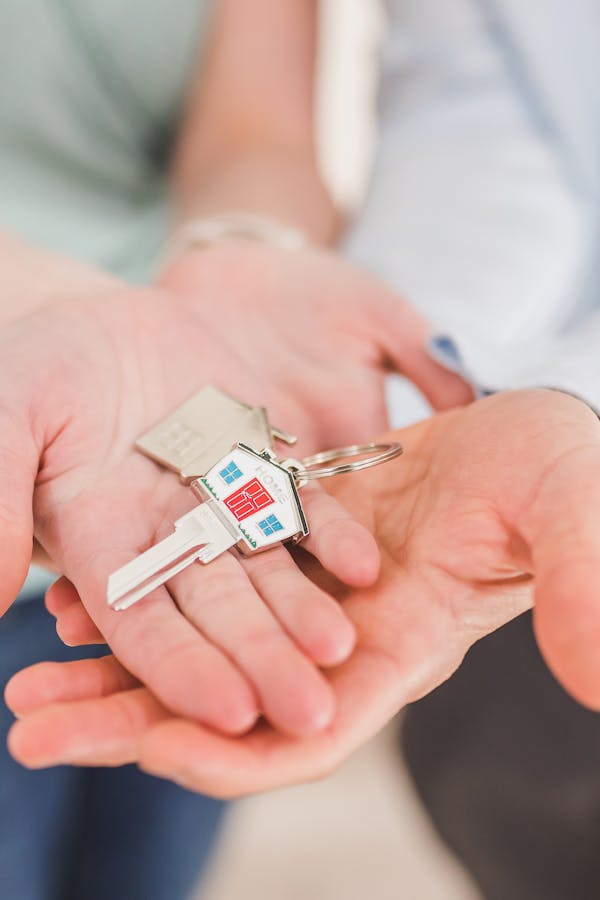 pexels-photo-8293771